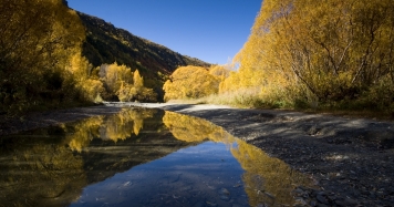 Autumn colours on the Arrow River