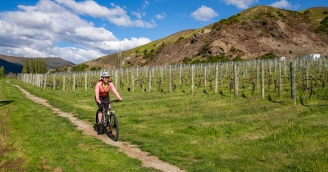 Biking Gibbston Valley Wineries Trail 1
